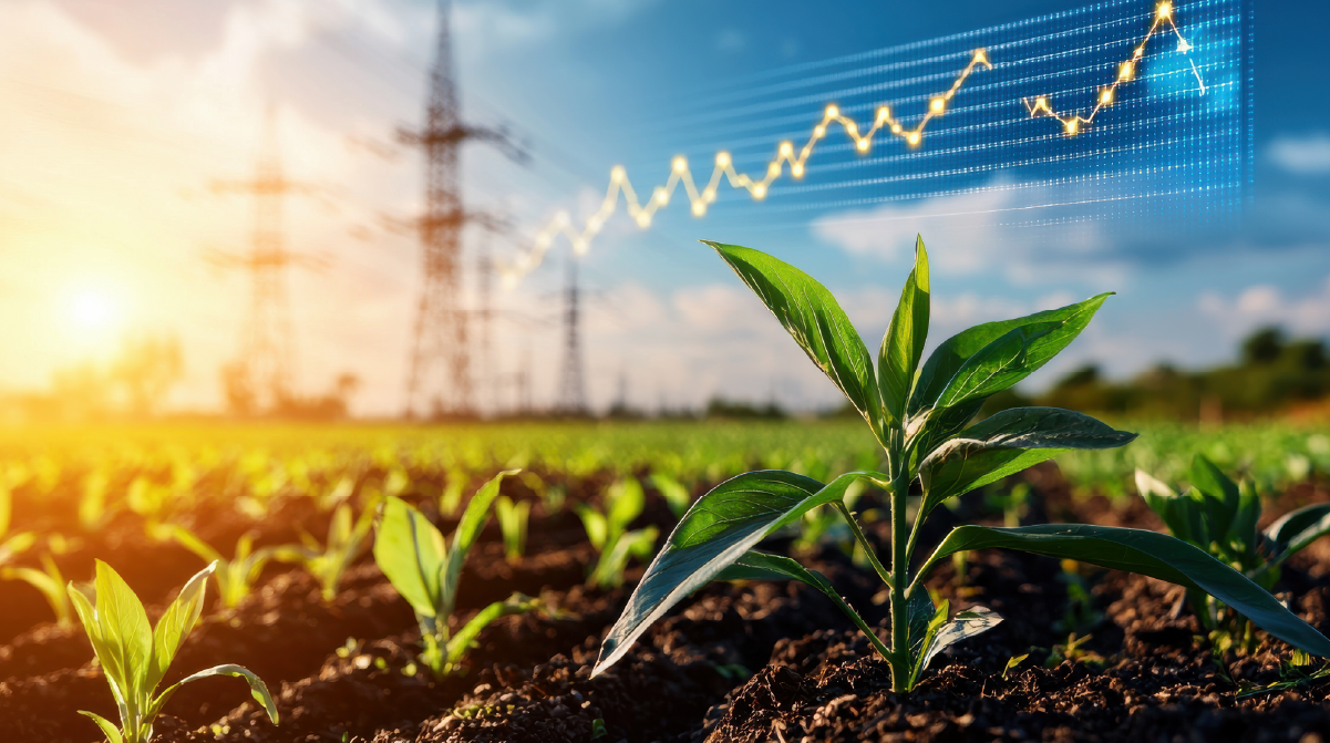 Trading the Fields: What's Fueling Agricultural Price Moves- and How You Can Capitalize