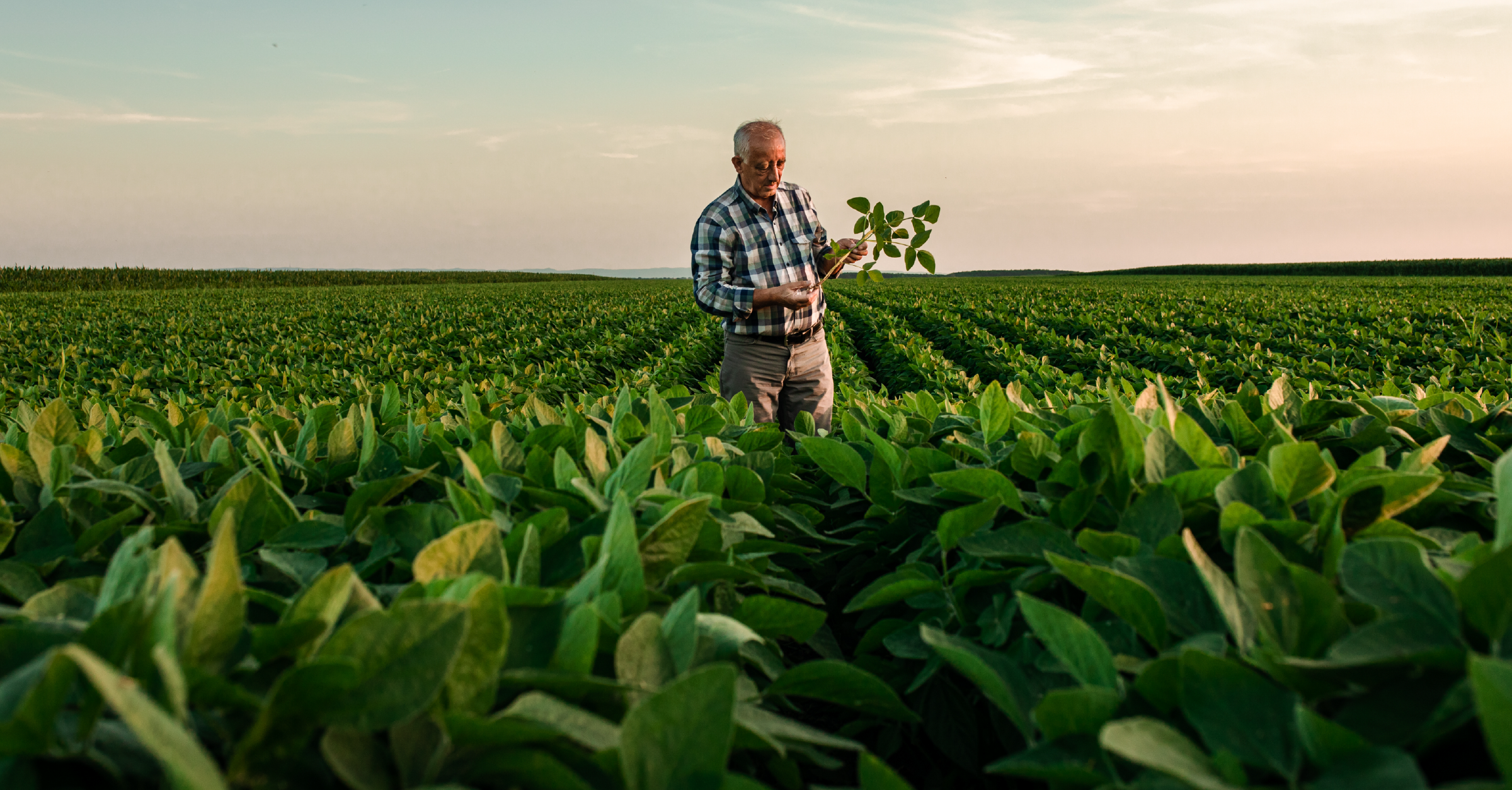 The Teucrium Guide to Evaluating Agricultural ETFs for Client Portfolios