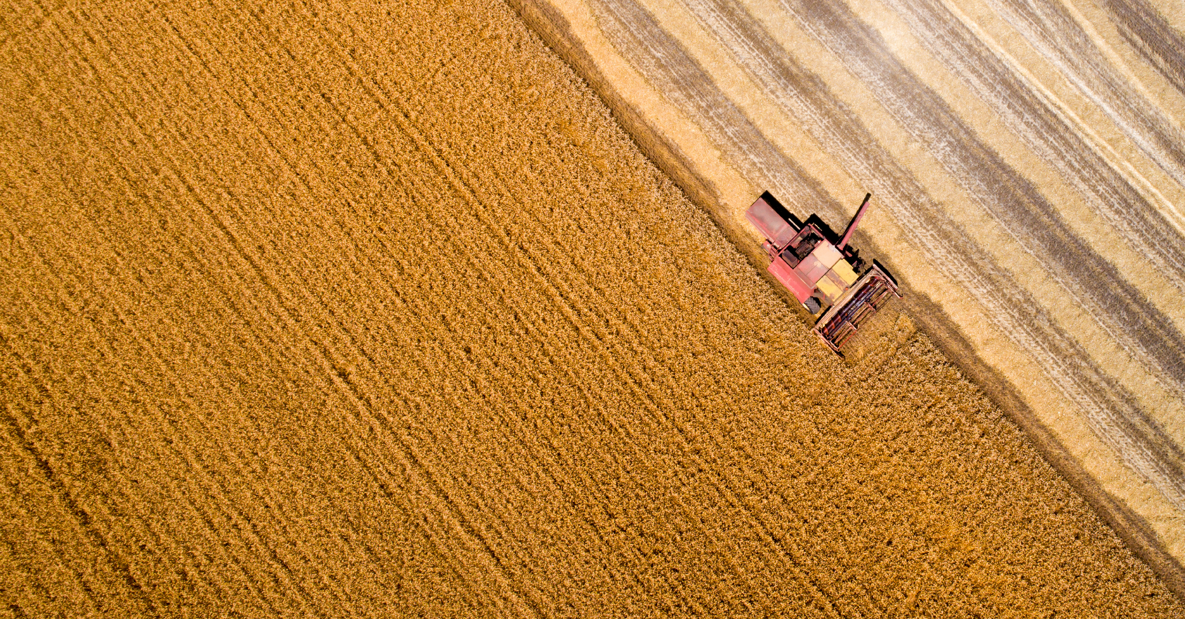 Which Agricultural ETF Might be Right for You? A Guide for Self Directed-Investors