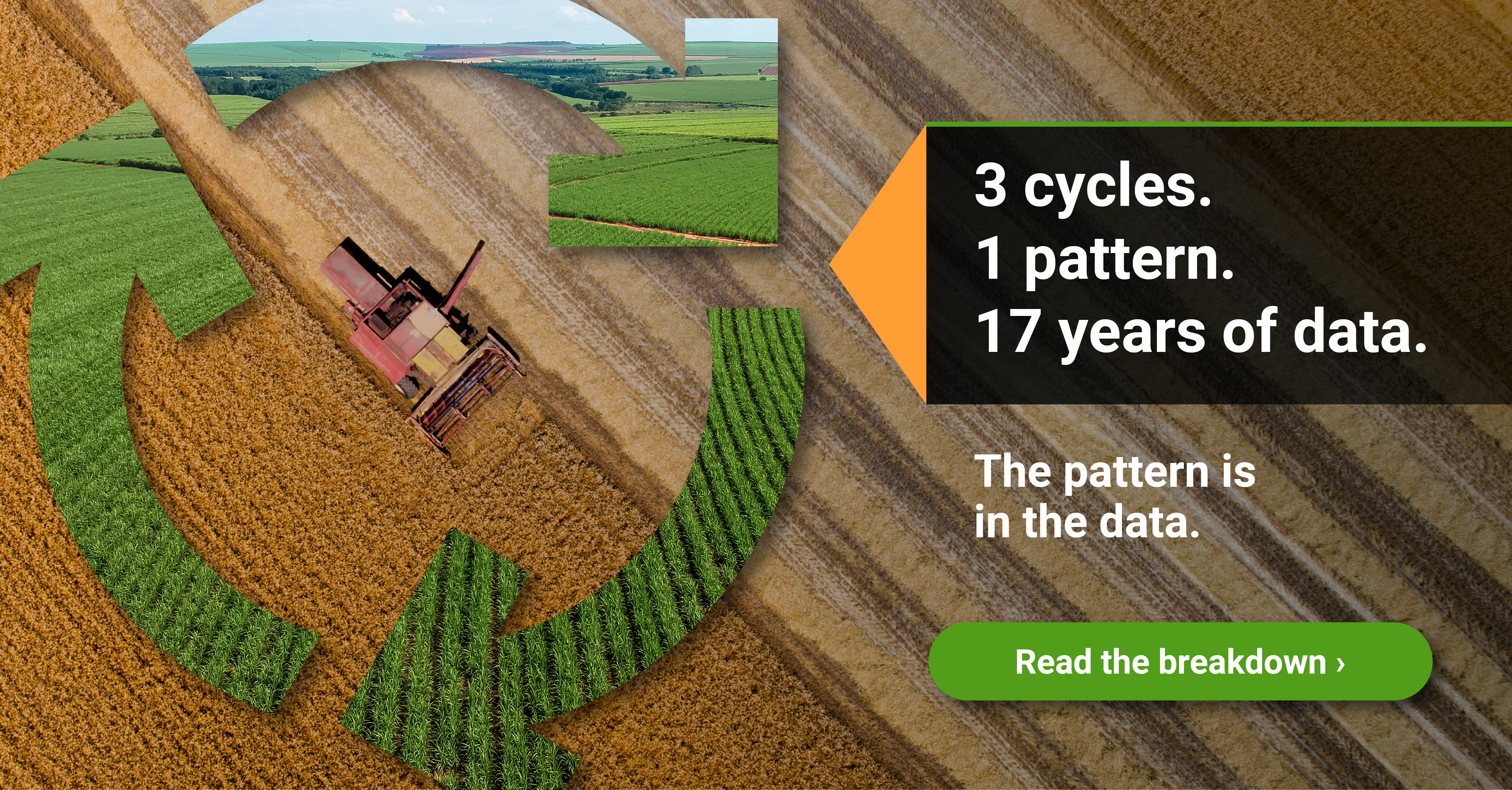 Reading the Grain Markets: A Trader's Guide to the Golden Grain Cycle: A Step By Step Framework