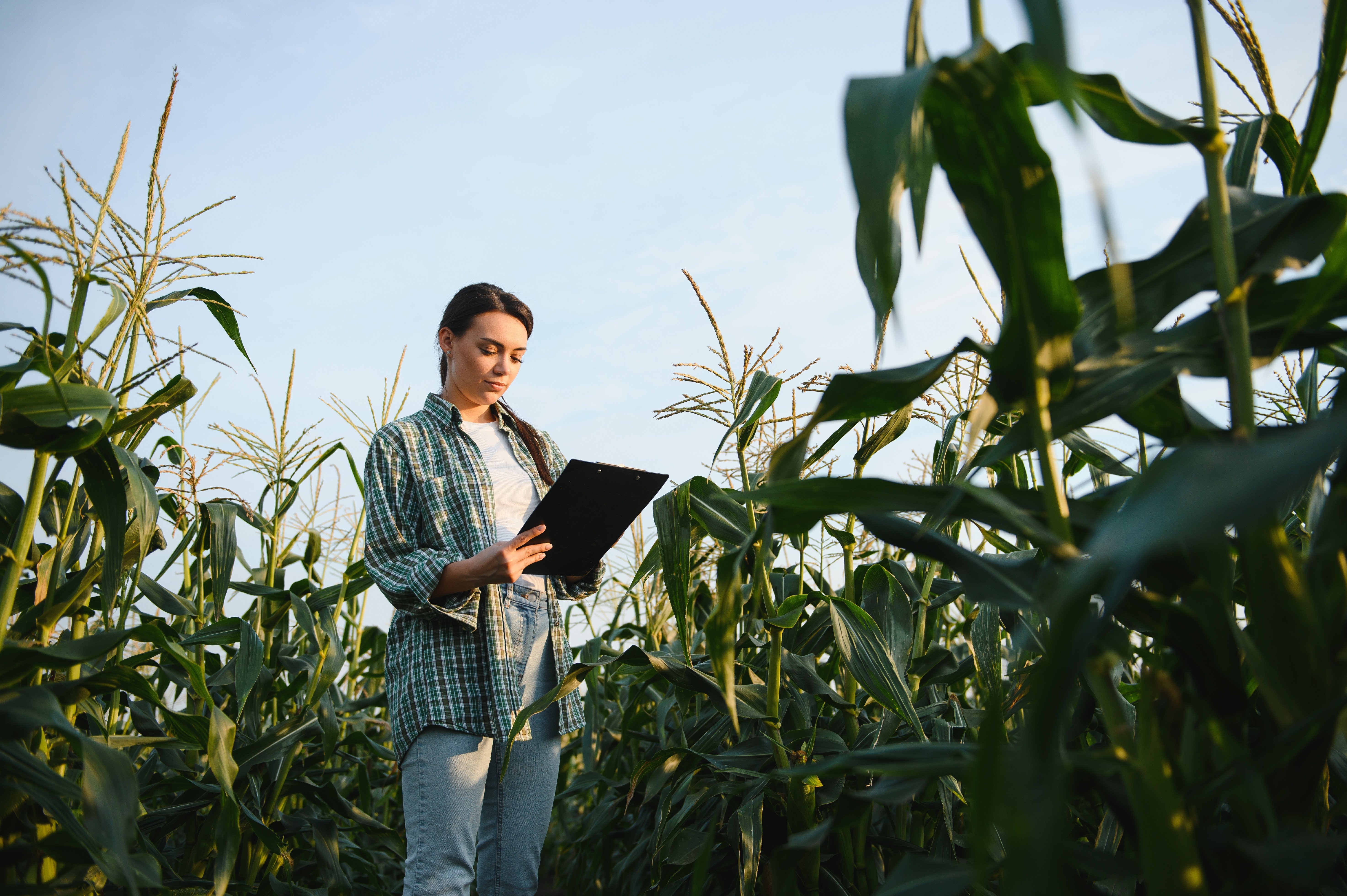 Agricultural vs Broad Commodity ETFs: Which is the Better Diversifier?
