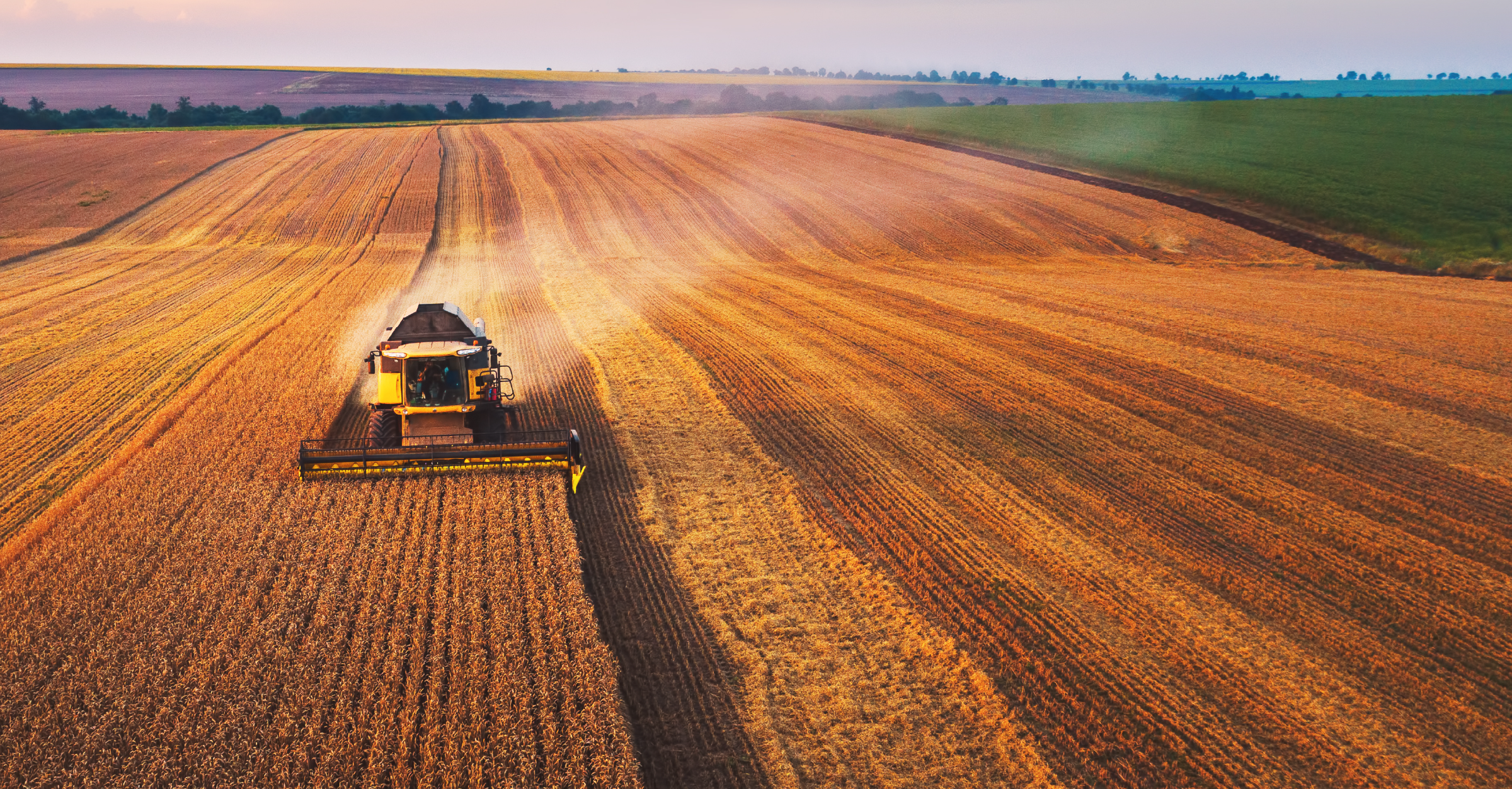 Understanding Agricultural Markets: Key Drivers and Trends