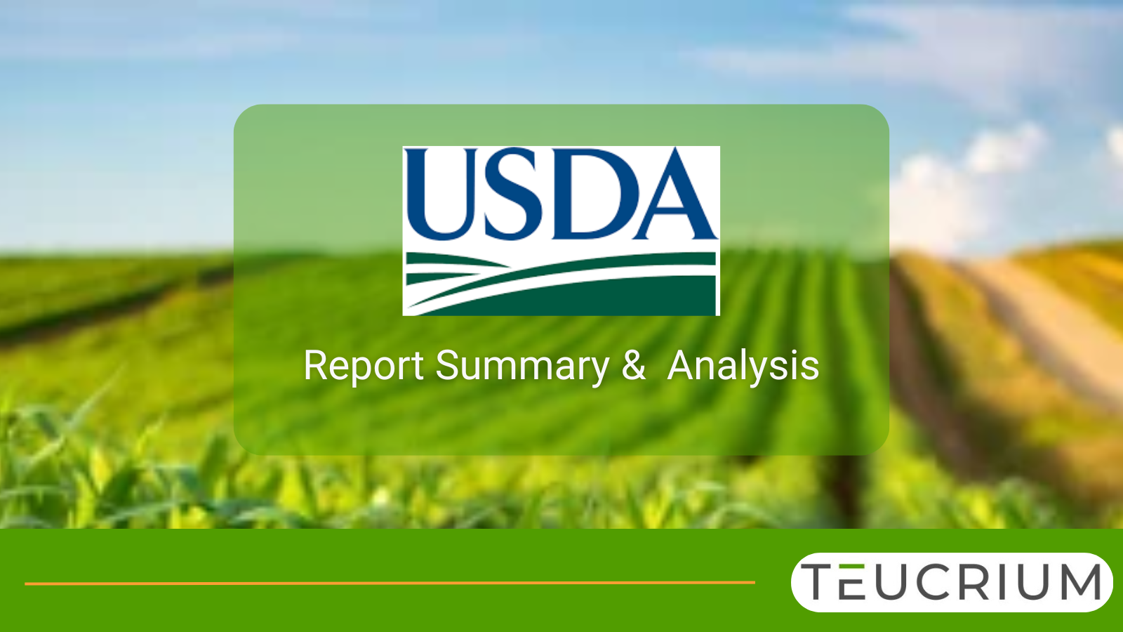 September WASDE Analysis 09/12/2025