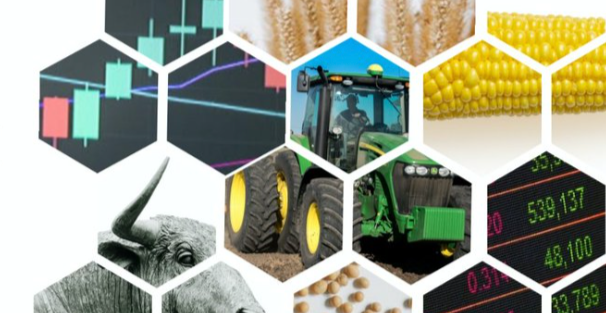 Planting The Future: Corn and Soybean Outlook for 2025-2026