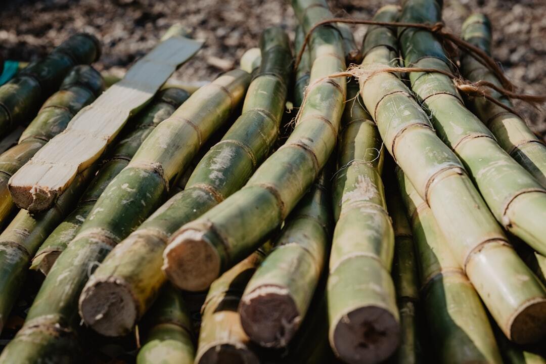The Hormuz Pivot: How War in Iran Rewired the Global Sugar Market