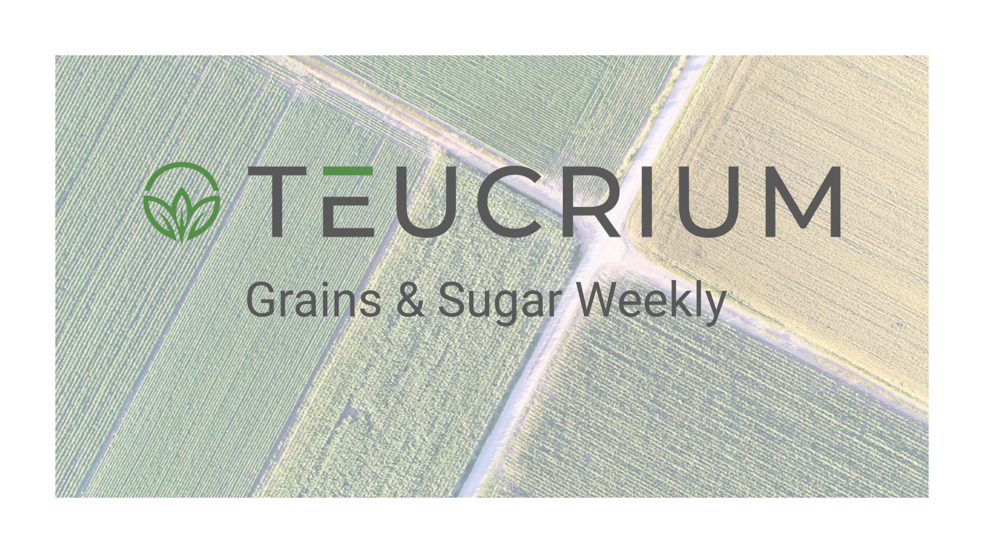Grains &amp; Sugar Weekly 08/14/2026