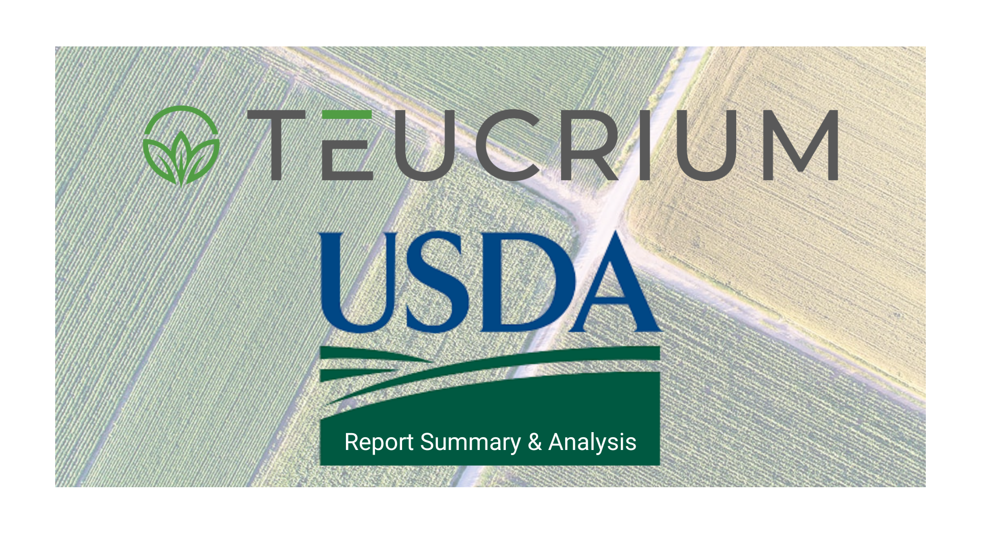 Aug '26 WASDE Analysis